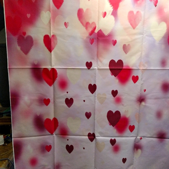 Photo Backdrop - Picture 2 of 3